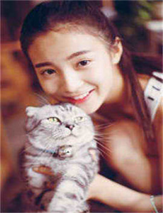 MIMIMI在线视频/男子看黄网一夜转账26次被骗450万