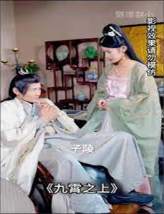 将星为后步步夺宠