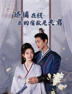 侵略乌贼娘 第二季