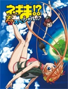 神探可伦坡 第六季