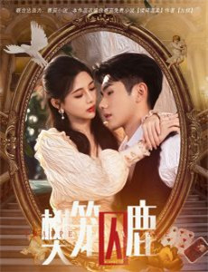 蚀骨情深不及你